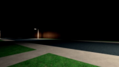 The Empty Night Town 