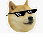 Doge fans Zach is ze owner