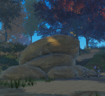 WARRIOR CATS: The Forest’s Omen.
