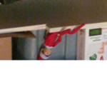 elf on the self club