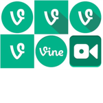 |Vine|
