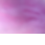 Pink Cotton Candy fan group