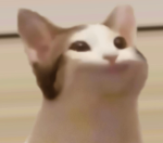 Pop cat pros only