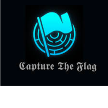 Battle!!! Capture the flag!
