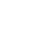 skigges