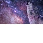(Wolf) Army