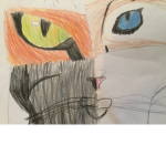 Warrior cats: The true fan group