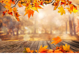Fall Hangout || Game made by Mint