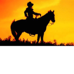 Moonlight Seekers Horse Club