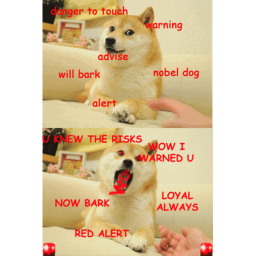 Doge Spaceship Race!