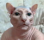 jetquill