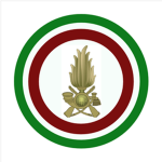 ACCADEMIA GDF 2022 DIVISONI