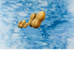 Peanut Army!