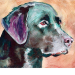 Legit dog