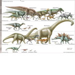 Dinosure models