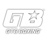 Golden Corner Gear - Ro-Boxing