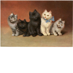 Kitty Kitty Kat Palace