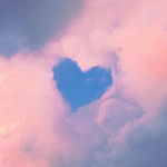 Softy Aesthetics