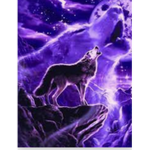 Mistery wolves
