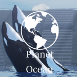 Planet Ocean Group Thumbnail