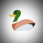 Duck's Studios