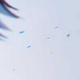 ✣