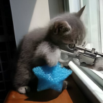 SNIPERCAT-crew