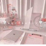 a e s t h e t i cP