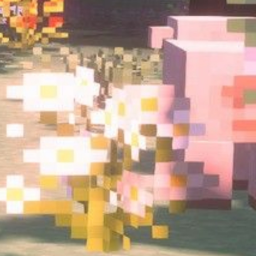 ｡･:*:･ﾟ★