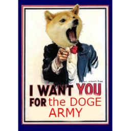DOGE obby
