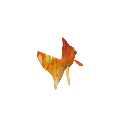 Gold Fish [HD]