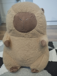 Capibara 12