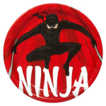 The Ninja Warriors Of The Future