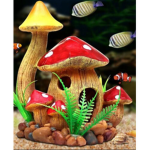 Fishrooms