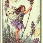 The Little Dreamers Club