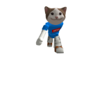 CITTY CAT CQUAD