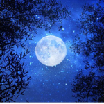 -Lunar Studio's-