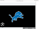 Detroit lions 27278