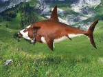 cow shark games
