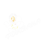 Poinciana Australia