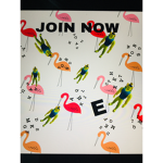 Flamingo rules fan club