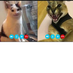 belugahacker