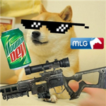 MLG DOG STUDIOS