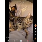 Xxsad_xxxlifexx,s friend group clan