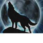 Darkness of the wolves