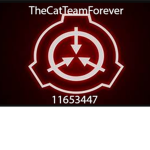 TheCatTeamForever