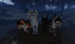 BeebsCats