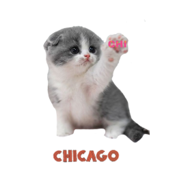 Chicago Cats Arena