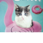 Kitten clash army