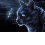 .: SkyClan :.